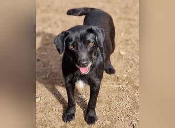 MONA ist ein Goldschatz