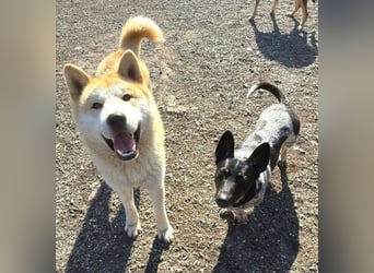 MIA ist eine Frohnatur