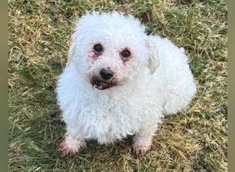 SNOW wurde herzlos entsorgt