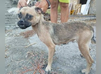 LUNA, das liebe Mädel schwebt in großer Gefahr