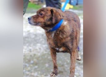 HOLLY ist zuckersüß und lieb