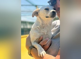 SUNNY wem darf sie ihr Herz schenken