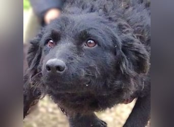 ZARA 2 zittert um ihr Leben