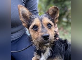 RAGNAR wurde erbarmungslos ausgesetzt