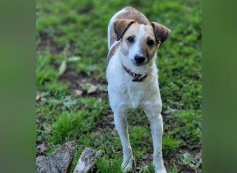 MIRKA liebt streicheln