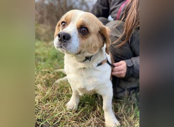 BODRI ist eine ganz sanfte Seele