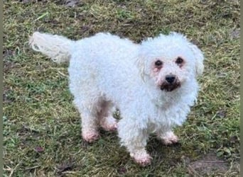 SNOW wurde herzlos entsorgt