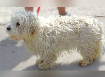 Theo, kleiner Kerl in großer Gefahr