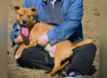 WINSTON ist ein herziger Kerl