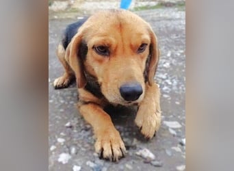 NICKY ist eine absolute Bereicherung