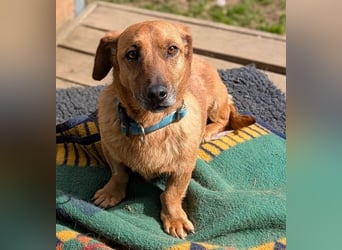 PASHA ist ein kleiner Schatz