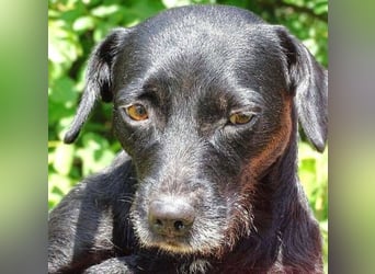 MONA ist ein Goldschatz