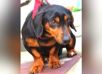 JACK braucht Lebensretter