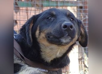 RUBY ist knapp entkommen