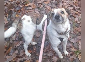 MIRKA liebt streicheln