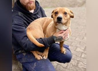 WINSTON ist ein herziger Kerl