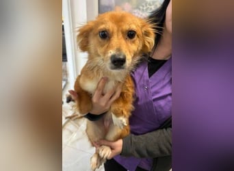 TESSY schwebt in Lebensgefahr TESSY schwebt in Lebensgefahr