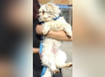 MIMMI die kleine hat große Angst