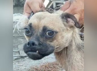 LUNA, das liebe Mädel schwebt in großer Gefahr