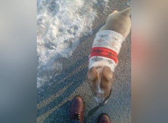 HUGO wurde allein zurück gelassen