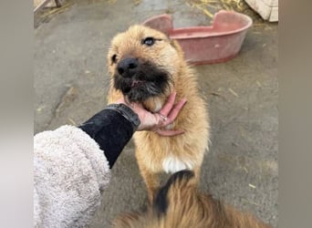 BILBO ist ❤️ allerliebst