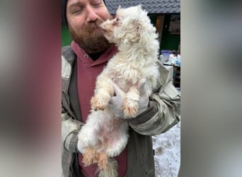 WHITE wurde herzlos abgeschoben