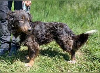 RONY ist ein süßer kleiner Schatz