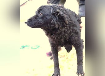 ZARA 2 zittert um ihr Leben