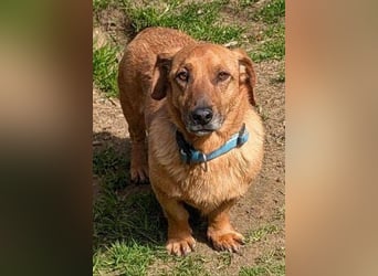 PASHA ist ein kleiner Schatz