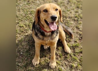 NICKY ist eine absolute Bereicherung