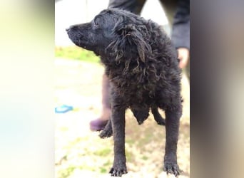 ZARA 2 zittert um ihr Leben