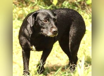 MONA sitzt in einem trostlosen Shelter