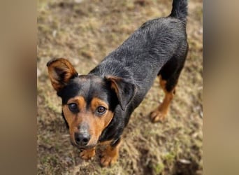 FLOCKY ist der Liebling aller