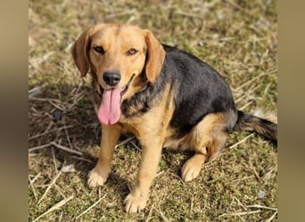 NICKY ist eine absolute Bereicherung