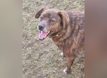 HOLLY ist zuckersüß und lieb