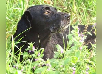 MONA sitzt in einem trostlosen Shelter