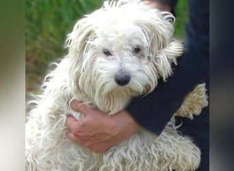 Theo, kleiner Kerl in großer Gefahr