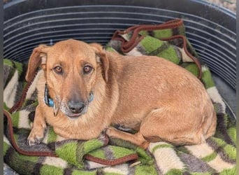 PASHA ist ein kleiner Schatz