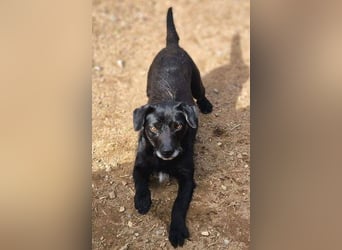 MONA ist ein Goldschatz