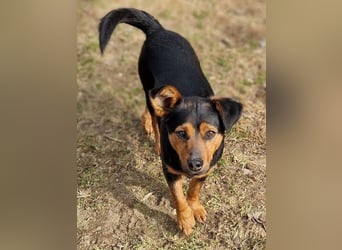 FLOCKY ist der Liebling aller