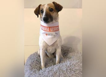 MIRKA liebt streicheln