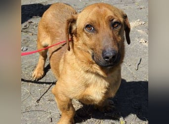 PASHA ist ein kleiner Schatz