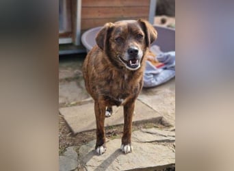 HOLLY ist zuckersüß und lieb