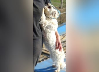 MIMMI die kleine hat große Angst