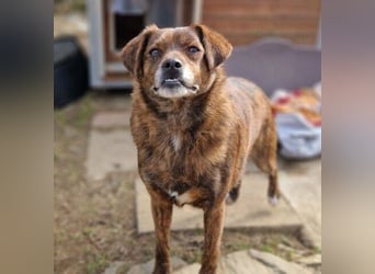 HOLLY ist zuckersüß und lieb