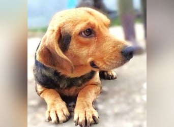 NICKY ist eine absolute Bereicherung