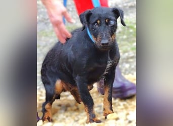 TARA ist in großer Not