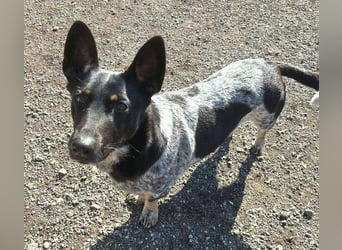 MIA ist eine Frohnatur