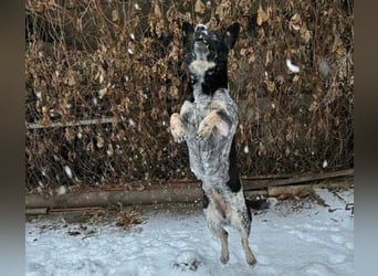 MIA ist eine Frohnatur