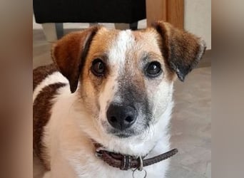 MIRKA liebt streicheln